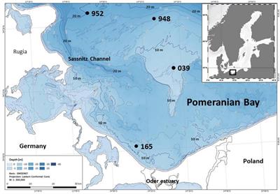 Continuous and High Transport of Particles and Solutes by Benthos in Coastal Eutrophic Sediments of the Pomeranian Bay